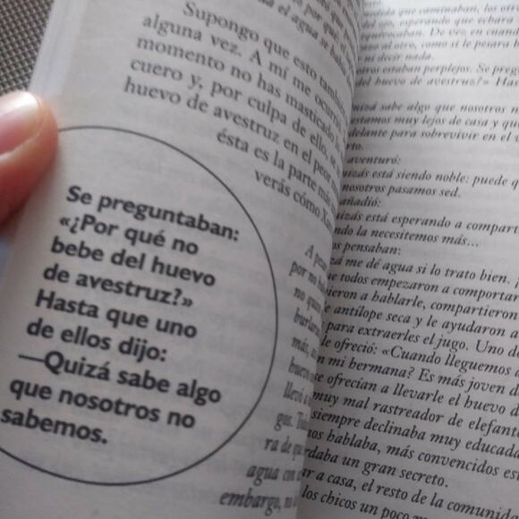 Yo me he llevado tu Queso Darrel Bristow Bove Spanish Small Pocket Book - Picture 3 of 3